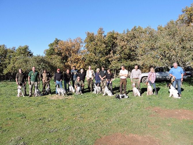 Des Collines De Vallis Auréa - Premier TAC du Setter Club PACA à GINASSERVIS 