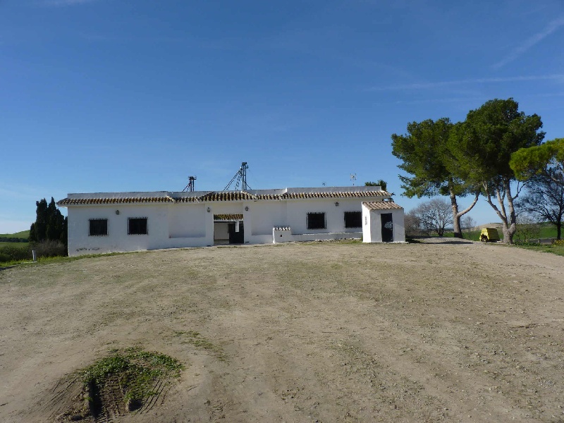 Andalousie la Finca, ses Perdreaux et ses Taureaux
